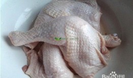 叼著雞腿吃瓜,品味生活百態(tài)