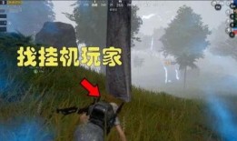 吃瓜電梯戰神,揭秘網絡紅人的崛起之路