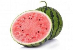 吃麒麟瓜舌頭,探尋神秘果實的秘密