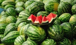 榆林老孟吃瓜,揭秘民間吃瓜文化的魅力與傳承