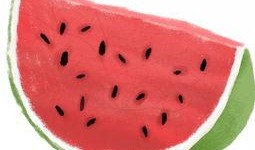 只吃瓜皮不吃瓜,揭秘只吃瓜皮不吃瓜的獨特飲食習慣