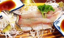 帶你吃瓜解說魚類,揭秘魚類的多樣世界