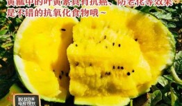 不尋吃瓜全文,一場關于真相與輿論的深度探討