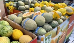 成都直播吃瓜,一場美食與娛樂的盛宴