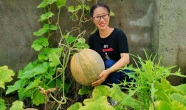 松坪村吃瓜,感受鄉(xiāng)村田園生活