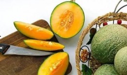 為什么熱鬧吃瓜,探究社會(huì)輿論的狂歡與反思