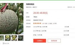 明星吃瓜長文小說