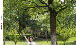 懷念吃瓜的夏天拍照,重溫那段吃瓜時光