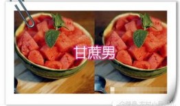 吃瓜甘蔗男,揭秘吃瓜甘蔗男生的獨(dú)特魅力