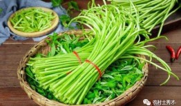 蒿爸吃瓜視頻,揭秘娛樂圈幕后故事