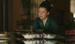 吃瓜人管家娘子全文手打,宮廷秘聞與愛情糾葛