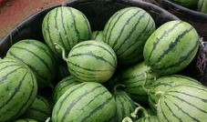 愛球瘋吃瓜,揭秘足球圈那些不為人知的幕后故事