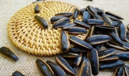 我吃瓜子皮音吃瓜蛋,揭秘“吃瓜蛋”的獨(dú)特魅力