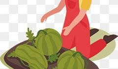 小人吃瓜圖片大全,小人吃瓜圖片大全趣味盤點