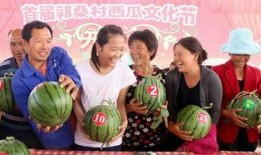 內(nèi)黃吃瓜群,揭秘鄉(xiāng)村生活趣味與智慧