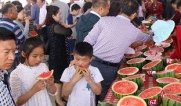 內(nèi)黃吃瓜群,揭秘鄉(xiāng)村生活趣味與智慧