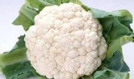 菜花夫婦吃瓜,娛樂圈背后的那些事兒