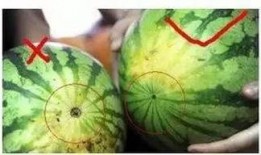 福州吃瓜網(wǎng)站