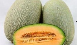 減脂可以吃哈密瓜不加熱,生食美味，輕松瘦身