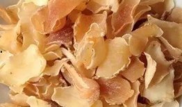 吃湖州的瓜,探尋江南瓜田里的甜蜜時光