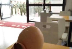 廣職吃瓜