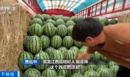 懷化學院吃瓜,揭秘校園美食風云錄