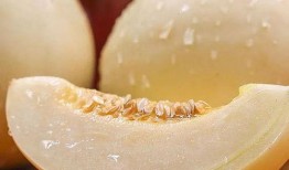 夢見吃沒甜味的瓜,吃無甜味瓜的寓意與啟示