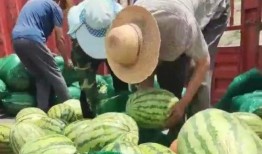 甘肅吃瓜跑友,跑動中的休閑時光