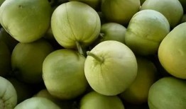 景甜瓜吃瓜群,揭秘明星幕后趣聞，粉絲互動新天地