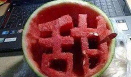 禁止吃瓜圖片,嚴令禁止！揭秘“吃瓜”圖片背后的警示與反思