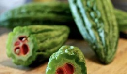 慢悠悠吃瓜組,揭秘娛樂圈幕后故事，帶你領略輕松娛樂時光