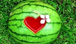 夢見自己吃瓜里東西,揭秘夢中吃瓜的神秘寓意