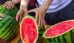 學校吃瓜網(wǎng)站,揭秘學校吃瓜網(wǎng)站背后的熱點事件