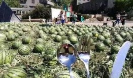 團(tuán)隊(duì)吃瓜,揭秘職場中的歡樂時(shí)光與團(tuán)隊(duì)凝聚力