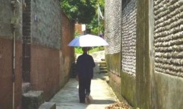 盤山吃瓜群眾事件,一場網絡輿論的風暴與反思