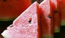 智慧的吃瓜,洞察世間百態