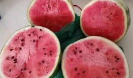 地雷瓜是麒麟瓜嗎怎么吃,揭秘同宗異名美味瓜果的多樣食法