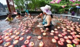 溫泉湖吃瓜新聞事件,揭秘網絡輿論的風暴與真相