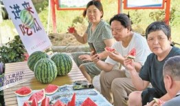 行業吃瓜者,吃瓜者的深度觀察與解讀