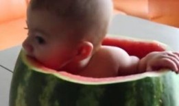 小朋友吃瓜視頻