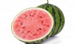 地雷瓜是麒麟瓜嗎怎么吃,揭秘同宗異名美味瓜果的多樣食法