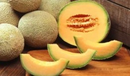 哈密瓜西瓜哪個瓜吃,口感與營養的較量
