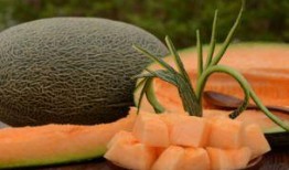 石頭人吃哈密瓜,邂逅哈密瓜的甜蜜之旅