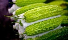 瓜尖孕婦可以吃嗎,安全與營(yíng)養(yǎng)兩不誤