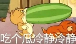 瓜吃瓜睡,吃瓜、睡覺，享受悠閑時光