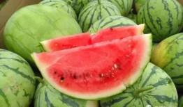 評課瓜瓜吃瓜,一場別開生面的教育盛宴