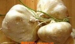 夢見自己吃生土瓜,揭秘生土瓜的神秘寓意