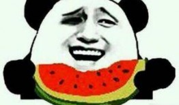 吃瓜師傅創作原聲,瓜界風云錄