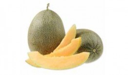 公司吃西瓜哈密瓜,公司共享哈密瓜與西瓜的美好時光