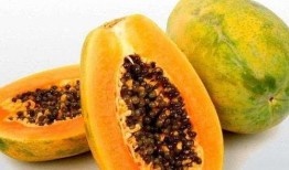 夢到吃黑瓜,揭秘黑瓜的神秘寓意